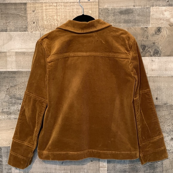 Free Assembly Corduroy Chore Jacket - Picture 15 of 16